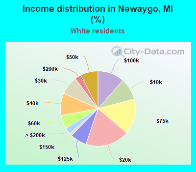 Income distribution in Newaygo, MI (%)