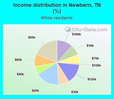 Income distribution in Newbern, TN (%)