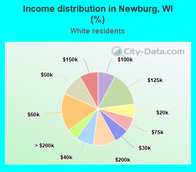 Income distribution in Newburg, WI (%)