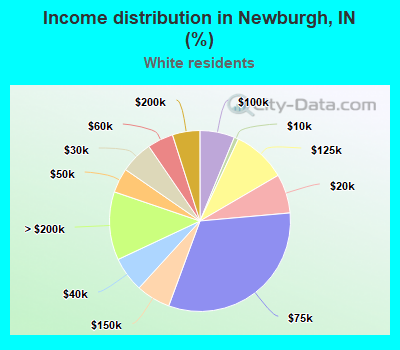 Income distribution in Newburgh, IN (%)