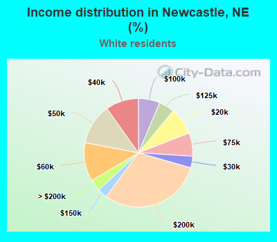 Income distribution in Newcastle, NE (%)