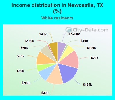 Income distribution in Newcastle, TX (%)