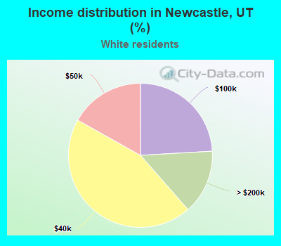 Income distribution in Newcastle, UT (%)