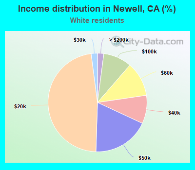 Income distribution in Newell, CA (%)