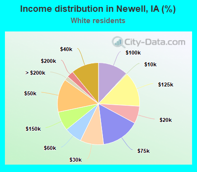 Income distribution in Newell, IA (%)