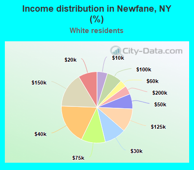 Income distribution in Newfane, NY (%)
