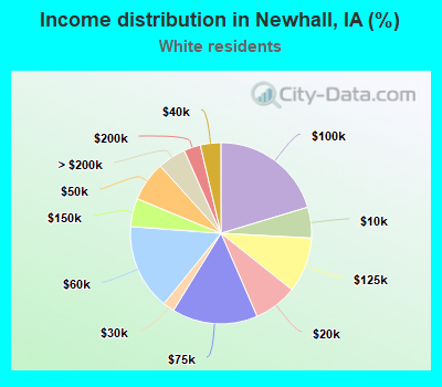 Income distribution in Newhall, IA (%)
