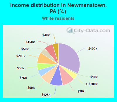 Income distribution in Newmanstown, PA (%)