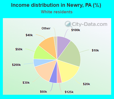 Income distribution in Newry, PA (%)