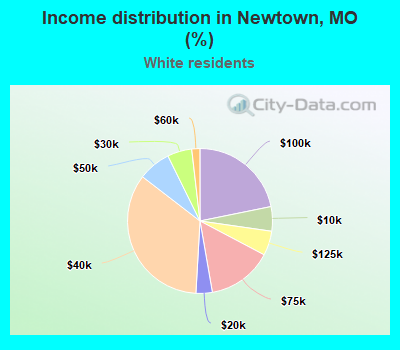 Income distribution in Newtown, MO (%)