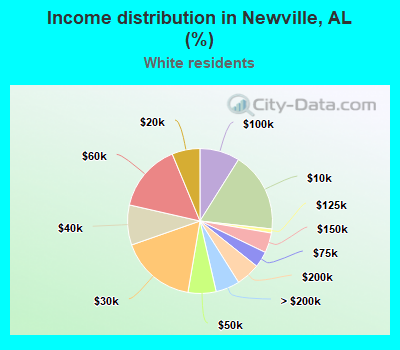 Income distribution in Newville, AL (%)