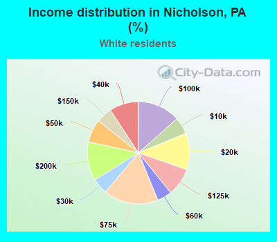 Income distribution in Nicholson, PA (%)