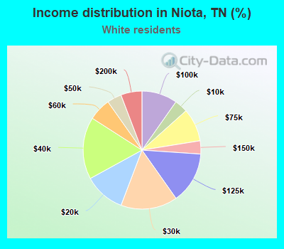 Income distribution in Niota, TN (%)