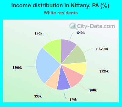 Income distribution in Nittany, PA (%)