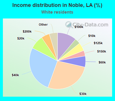 Income distribution in Noble, LA (%)