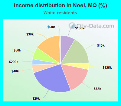 Income distribution in Noel, MO (%)