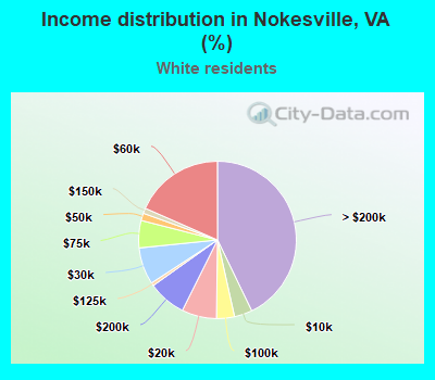 Income distribution in Nokesville, VA (%)