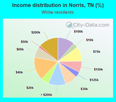 Income distribution in Norris, TN (%)