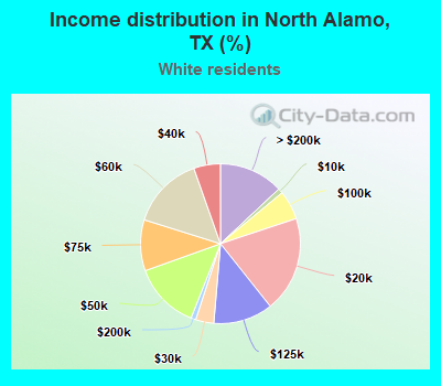 Income distribution in North Alamo, TX (%)
