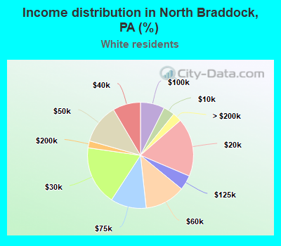 Income distribution in North Braddock, PA (%)