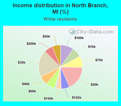 Income distribution in North Branch, MI (%)