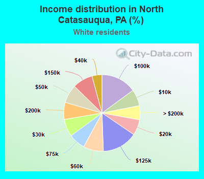 Income distribution in North Catasauqua, PA (%)