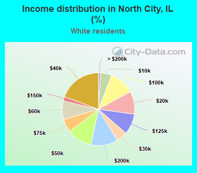 Income distribution in North City, IL (%)