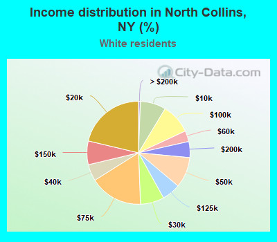 Income distribution in North Collins, NY (%)