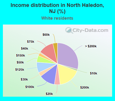 Income distribution in North Haledon, NJ (%)