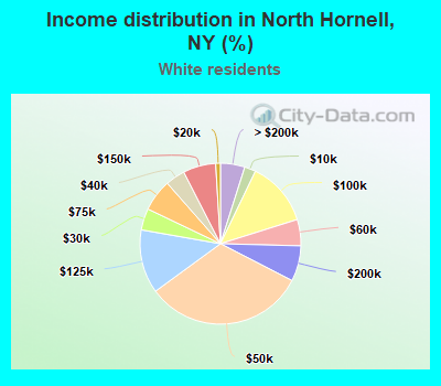 Income distribution in North Hornell, NY (%)