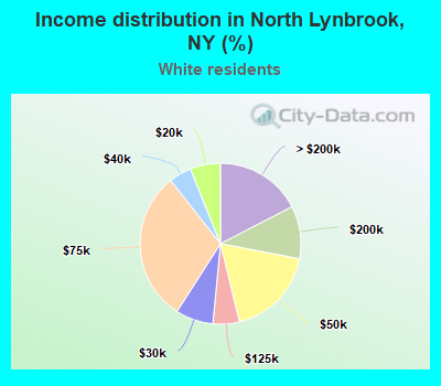 Income distribution in North Lynbrook, NY (%)