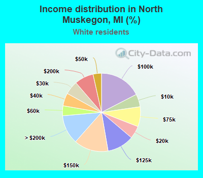 Income distribution in North Muskegon, MI (%)