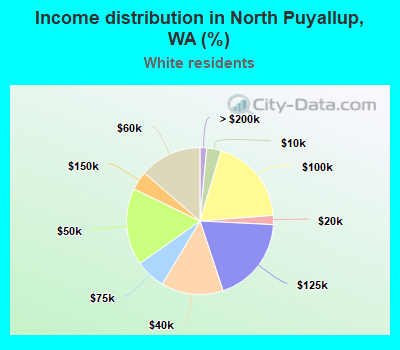 Income distribution in North Puyallup, WA (%)