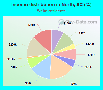 Income distribution in North, SC (%)