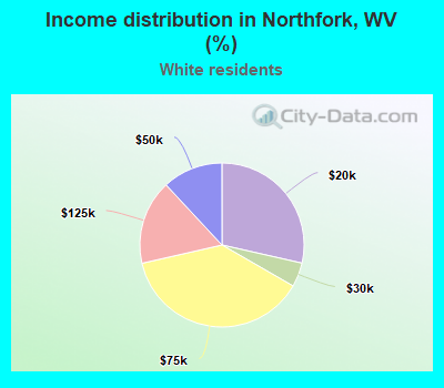 Income distribution in Northfork, WV (%)
