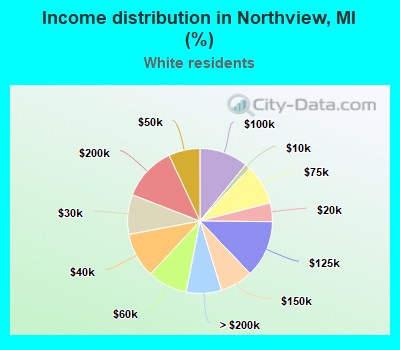 Income distribution in Northview, MI (%)