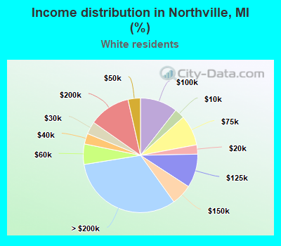 Income distribution in Northville, MI (%)