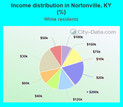 Income distribution in Nortonville, KY (%)