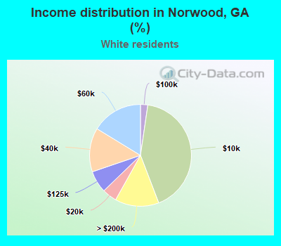 Income distribution in Norwood, GA (%)
