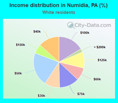 Income distribution in Numidia, PA (%)