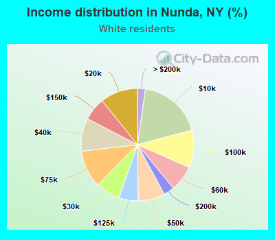 Income distribution in Nunda, NY (%)