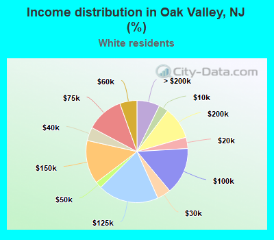 Income distribution in Oak Valley, NJ (%)