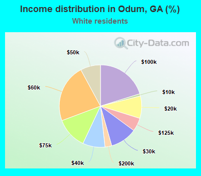 Income distribution in Odum, GA (%)