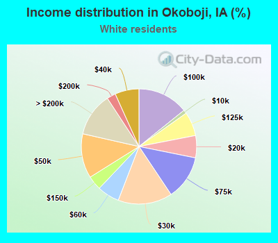 Income distribution in Okoboji, IA (%)