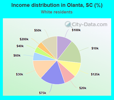 Income distribution in Olanta, SC (%)