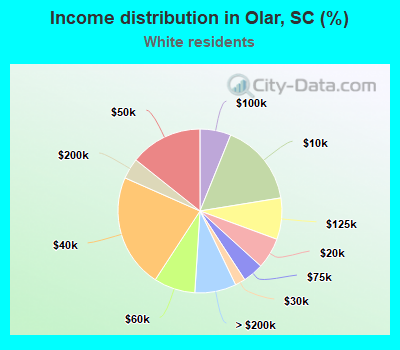 Income distribution in Olar, SC (%)