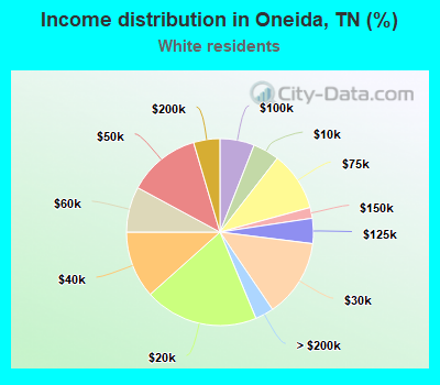 Income distribution in Oneida, TN (%)