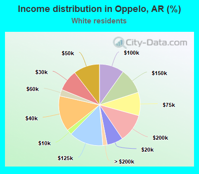 Income distribution in Oppelo, AR (%)