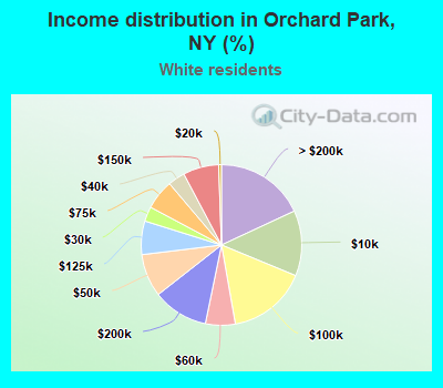 Income distribution in Orchard Park, NY (%)