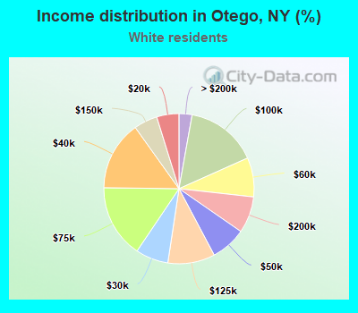 Income distribution in Otego, NY (%)